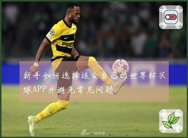 新手如何选择适合自己的世界杯买球APP并避免常见问题