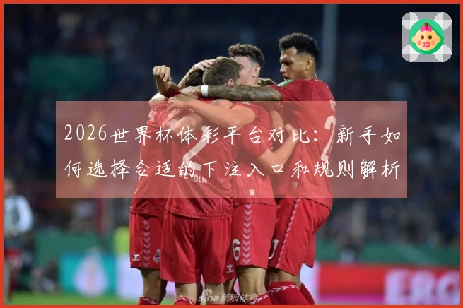 2026世界杯体彩平台对比：新手如何选择合适的下注入口和规则解析